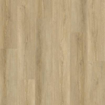 Golden Crest Oak