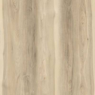 Noble Fernwood