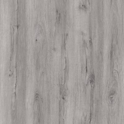 Silver Monarch Grey